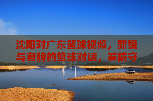 沈阳对广东篮球视频，新锐与老牌的篮球对话，看防守对抗与战术智慧的激烈碰撞