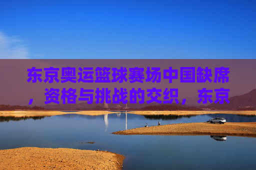 东京奥运篮球赛场中国缺席,资格与挑战的交织,东京奥运篮球赛场中国缺席,资格与挑战的交织