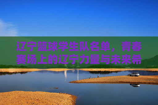 辽宁篮球学生队名单，青春赛场上的辽宁力量与未来希望