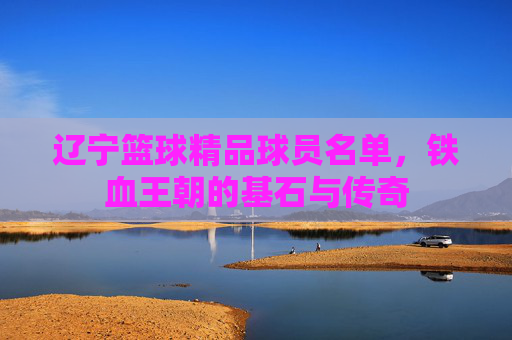 辽宁篮球精品球员名单,铁血王朝的基石与传奇