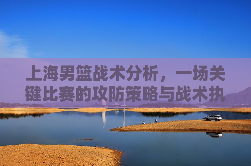 上海男篮战术分析,一场关键比赛的攻防策略与战术执行深度解析