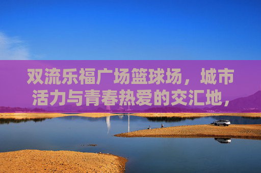 双流乐福广场篮球场,城市活力与青春热爱的交汇地,双流乐福广场篮球场,城市活力与青春热爱的交汇地