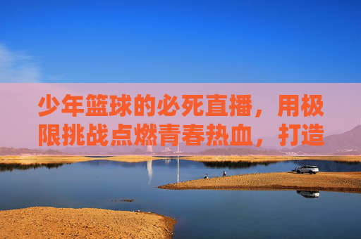 少年篮球的必死直播，用极限挑战点燃青春热血，打造沉浸式竞技体验策划案，少年篮球必死直播，用极限挑战点燃青春热血，打造沉浸式竞技体验