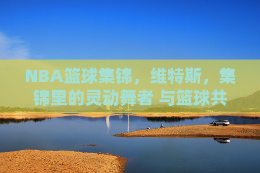 NBA篮球集锦,维特斯,集锦里的灵动舞者 与篮球共舞的激情演绎,NBA篮球集锦,维特斯——集锦里的灵动舞者,与篮球共舞的激情演绎