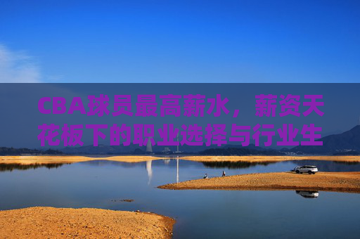 CBA球员最高薪水,薪资天花板下的职业选择与行业生态演变,CBA球员最高薪水,薪资天花板下的职业选择与行业生态演变