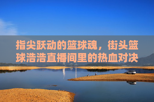 指尖跃动的篮球魂，街头篮球浩浩直播间里的热血对决与青春共鸣，指尖跃动的篮球魂，街头篮球浩浩直播间里的热血对决与青春共鸣