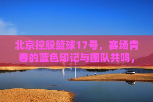 北京控股篮球17号,赛场青春的蓝色印记与团队共鸣,北京控股篮球17号,赛场青春的蓝色印记与团队共鸣