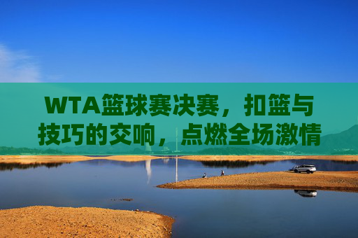 WTA篮球赛决赛,扣篮与技巧的交响,点燃全场激情,WTA篮球赛决赛,扣篮与技巧的交响奏响激情盛宴