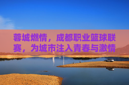 蓉城燃情，成都职业篮球联赛，为城市注入青春与激情的体育活力，蓉城燃情，成都职业篮球联赛为城市注入青春与激情的体育活力