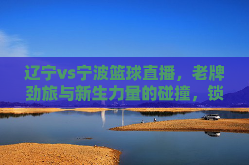 辽宁vs宁波篮球直播,老牌劲旅与新生力量的碰撞,锁定赛场精彩瞬间,辽宁vs宁波篮球直播,老牌劲旅与新生力量碰撞,锁定赛场精彩瞬间