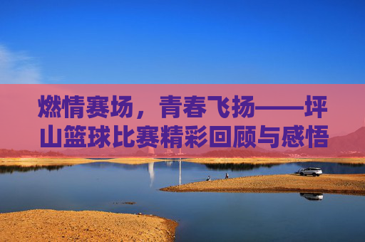 燃情赛场，青春飞扬——坪山篮球比赛精彩回顾与感悟，燃情赛场，青春飞扬——坪山篮球比赛精彩回顾与感悟