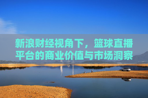 新浪财经视角下，篮球直播平台的商业价值与市场洞察，新浪财经视角下篮球直播平台的商业价值与市场洞察