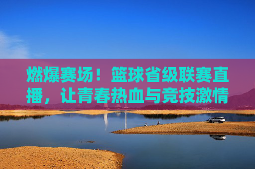 燃爆赛场!篮球省级联赛直播,让青春热血与竞技激情在线绽放,燃爆赛场!篮球省级联赛直播,让青春热血与竞技激情在线绽放