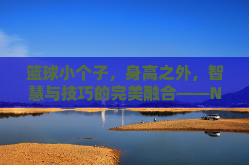 篮球小个子,身高之外,智慧与技巧的完美融合——NBA赛场上的矮个子奇迹,篮球小个子,身高之外,智慧与技巧的完美融合——NBA赛场上的矮个子奇迹