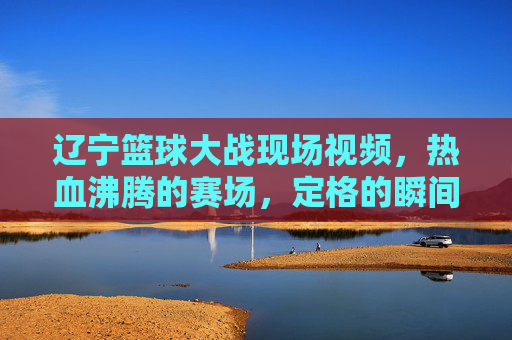 辽宁篮球大战现场视频，热血沸腾的赛场，定格的瞬间与未说出口的呐喊，辽宁篮球大战现场视频，热血赛场，定格瞬间与未说出口的呐喊