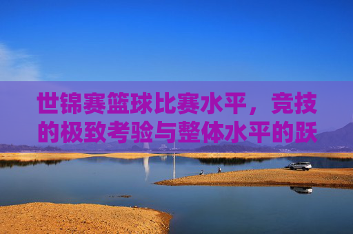 世锦赛篮球比赛水平,竞技的极致考验与整体水平的跃升——以2024年赛事为例,世锦赛篮球比赛水平,竞技的极致考验与整体水平的跃升——以2024年赛事为例