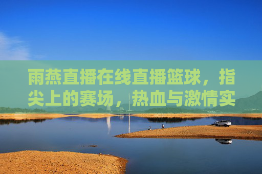 雨燕直播在线直播篮球,指尖上的赛场,热血与激情实时传递,雨燕直播,指尖上的篮球赛场,热血与激情实时传递