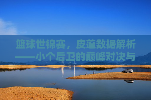 篮球世锦赛,皮蓬数据解析——小个后卫的巅峰对决与历史贡献,篮球世锦赛皮蓬数据解析,小个后卫的巅峰对决与历史贡献