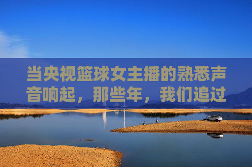 当央视篮球女主播的熟悉声音响起,那些年,我们追过的篮球赛与青春记忆