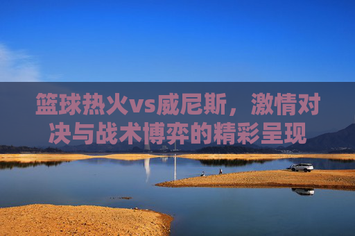 篮球热火vs威尼斯，激情对决与战术博弈的精彩呈现
