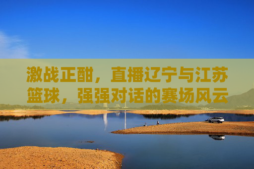 激战正酣,直播辽宁与江苏篮球,强强对话的赛场风云与精彩瞬间
