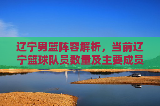 辽宁男篮阵容解析,当前辽宁篮球队员数量及主要成员介绍