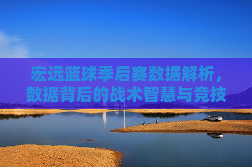 宏远篮球季后赛数据解析,数据背后的战术智慧与竞技魅力