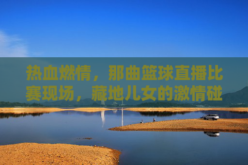 热血燃情,那曲篮球直播比赛现场,藏地儿女的激情碰撞与梦想绽放,热血燃情!那曲篮球直播现场,藏地儿女的激情碰撞与梦想绽放