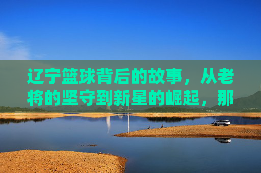 辽宁篮球背后的故事,从老将的坚守到新星的崛起,那些不为人知的历史瞬间与传奇传承