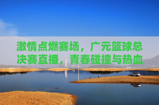 激情点燃赛场,广元篮球总决赛直播,青春碰撞与热血沸腾的巅峰对决