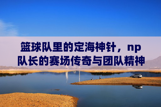 篮球队里的定海神针,np队长的赛场传奇与团队精神,篮球队定海神针,NP队长赛场传奇与团队精神