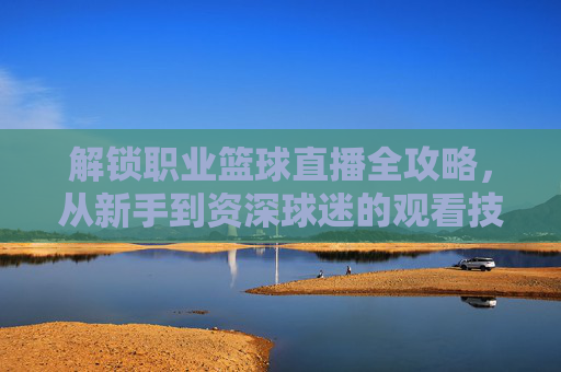 解锁职业篮球直播全攻略,从新手到资深球迷的观看技巧