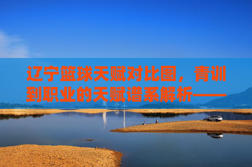 辽宁篮球天赋对比图,青训到职业的天赋谱系解析——从数据看球队未来的天赋储备与转化效率,辽宁篮球天赋对比图,青训到职业的天赋谱系解析——从数据看球队未来的天赋储备与转化效率