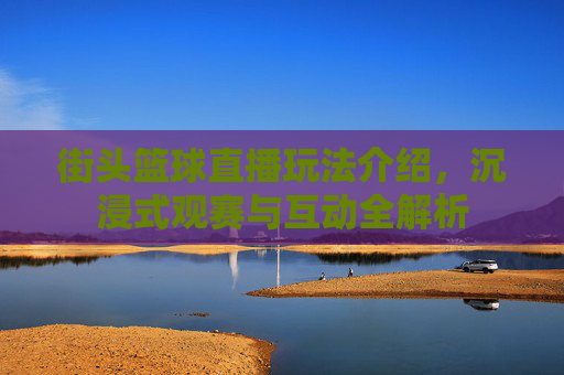 街头篮球直播玩法介绍,沉浸式观赛与互动全解析