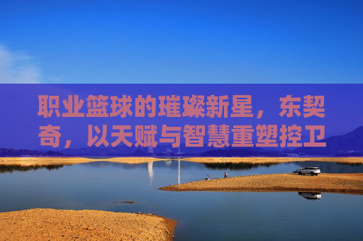 职业篮球的璀璨新星,东契奇,以天赋与智慧重塑控卫传奇,职业篮球的璀璨新星,东契奇以天赋与智慧重塑控卫传奇