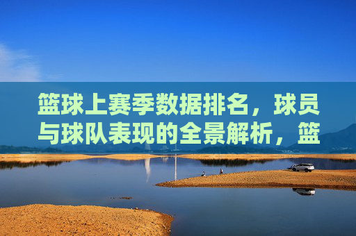 篮球上赛季数据排名,球员与球队表现的全景解析,篮球上赛季数据排名,球员与球队表现的全景解析