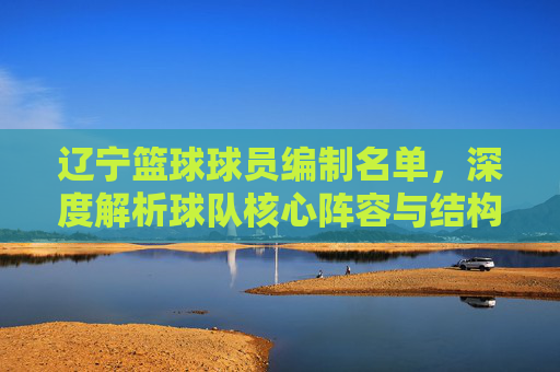 辽宁篮球球员编制名单,深度解析球队核心阵容与结构,辽宁篮球球员编制名单,深度解析球队核心阵容与结构