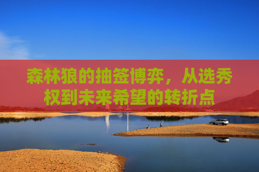 森林狼的抽签博弈,从选秀权到未来希望的转折点