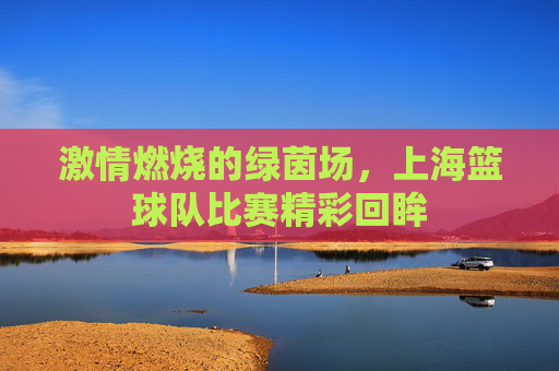 激情燃烧的绿茵场，上海篮球队比赛精彩回眸