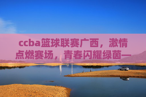 ccba篮球联赛广西，激情点燃赛场，青春闪耀绿茵——全民健身与篮球运动的活力绽放