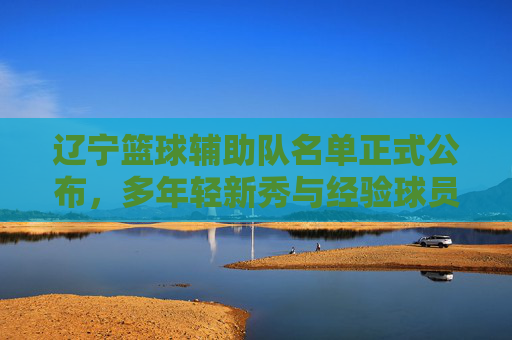 辽宁篮球辅助队名单正式公布,多年轻新秀与经验球员集结,助力球队战术体系优化