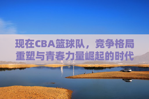 现在CBA篮球队,竞争格局重塑与青春力量崛起的时代图景,CBA篮球队竞争格局重塑与青春力量崛起的时代图景