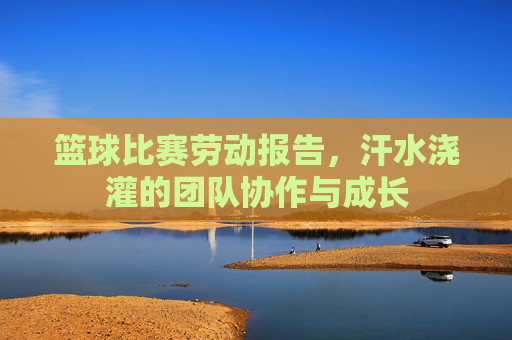 篮球比赛劳动报告,汗水浇灌的团队协作与成长