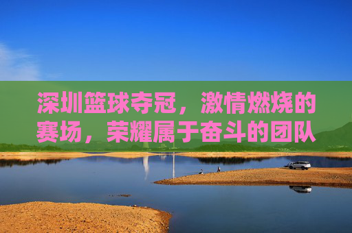 深圳篮球夺冠，激情燃烧的赛场，荣耀属于奋斗的团队——视频集锦中的精彩瞬间与时代印记，深圳篮球夺冠，激情燃烧的赛场，荣耀属于奋斗的团队——视频集锦中的精彩瞬间与时代印记