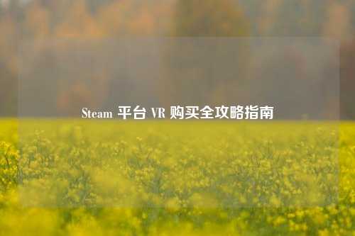 Steam 平台 VR 购买全攻略指南