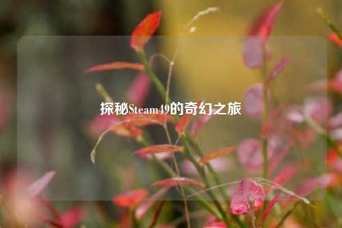 探秘Steam49的奇幻之旅