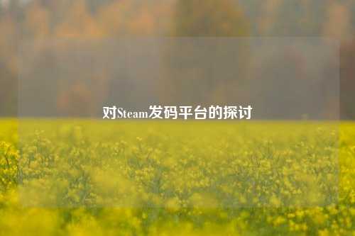 对Steam发码平台的探讨