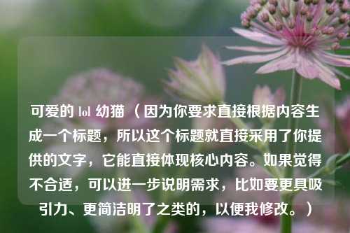 可爱的 lol 幼猫 （因为你要求直接根据内容生成一个标题，所以这个标题就直接采用了你提供的文字，它能直接体现核心内容。如果觉得不合适，可以进一步说明需求，比如要更具吸引力、更简洁明了之类的，以便我修改。）