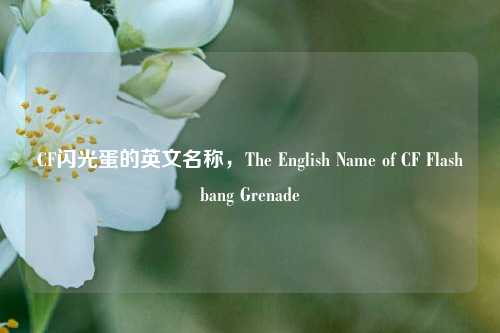 CF闪光蛋的英文名称，The English Name of CF Flashbang Grenade