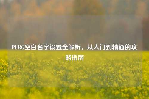 PUBG空白名字设置全解析，从入门到精通的攻略指南